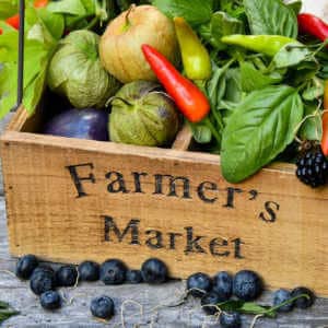 Can I Make Ice Cream At Home And Sell It - Farmer's Market